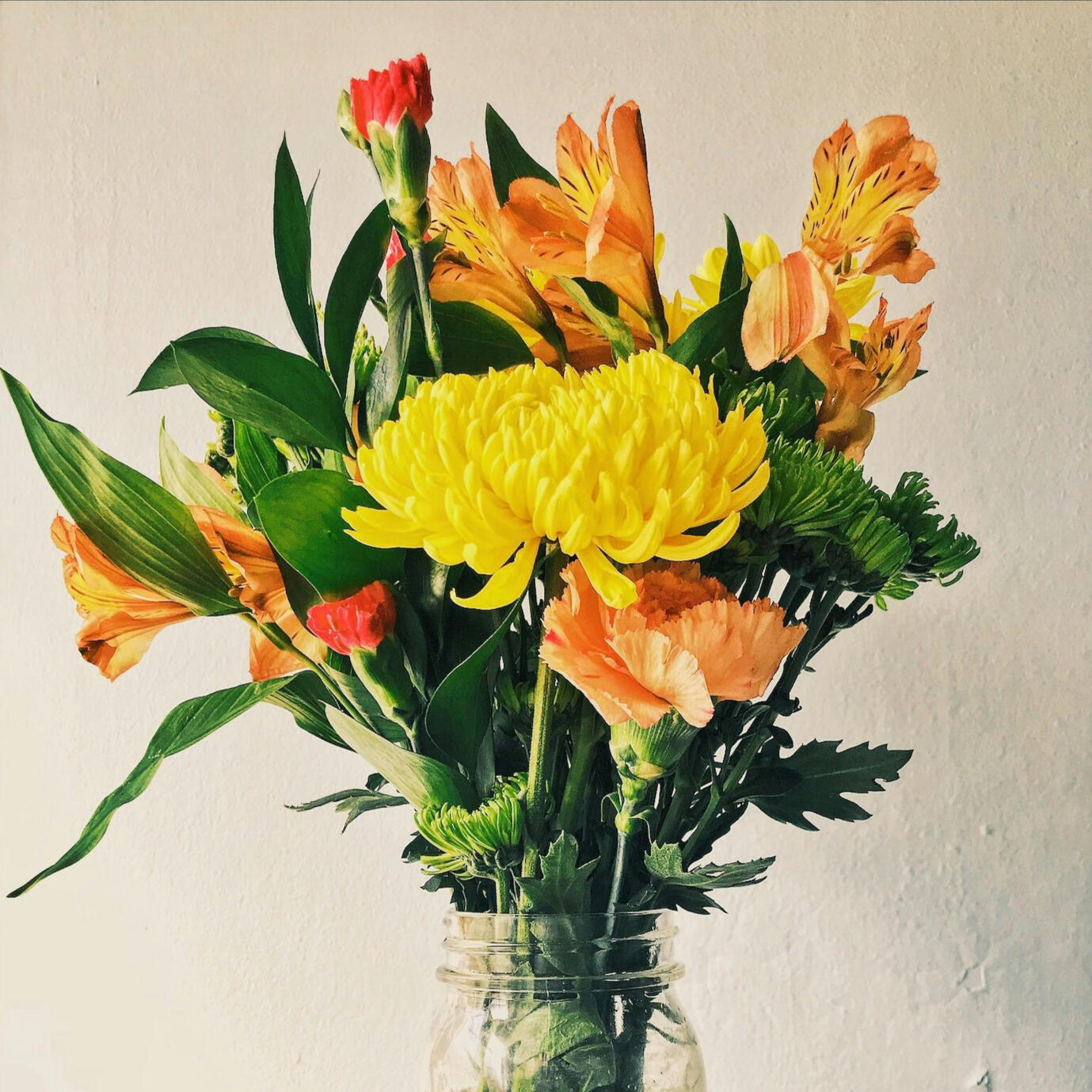 Dolor adipiscing elit